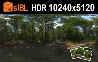 HDR 114 Forest Plates