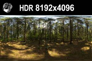HDR 150 Forest
