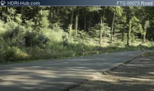 Rural Road - Locked camera pointing at a road in a forest. Calm moving background.