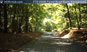 Forest Road Blurry Background - Locked camera pointing at a road in a forest. Strong bokeh effect.