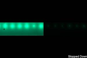 HDR Light Floor LED Stripe green