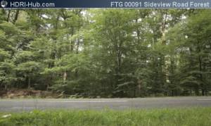 Sideview on Road in Forest - Locked camera pointing at a road in a forest. Calm moving background.