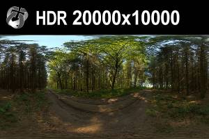 HDR 152 Forest 20k