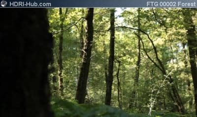 Slider Move in Forest