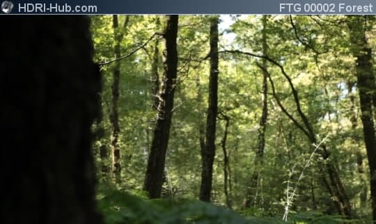Slider Move in Forest