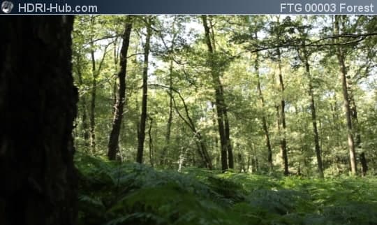 Slider Move in Forest