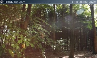 Slider Move in Forest