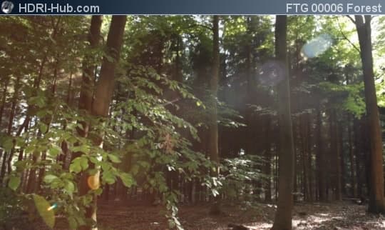 Slider Move in Forest