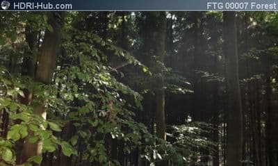Slider Move in Forest