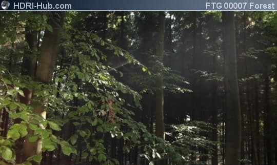 Slider Move in Forest