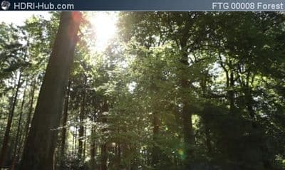 Slider Move in Forest