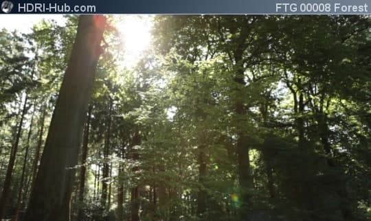 Slider Move in Forest