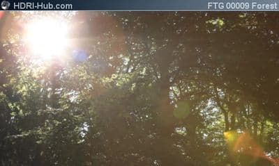 Slider Move in Forest
