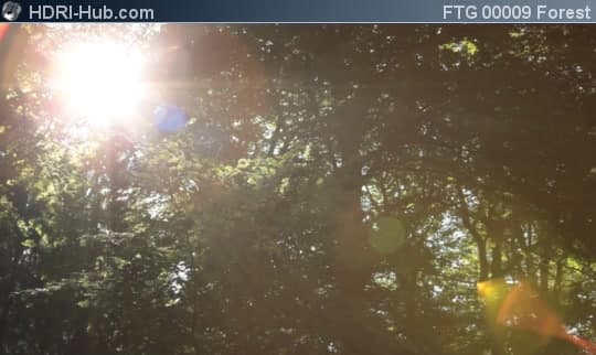 Slider Move in Forest