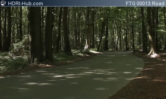 Road in Forest