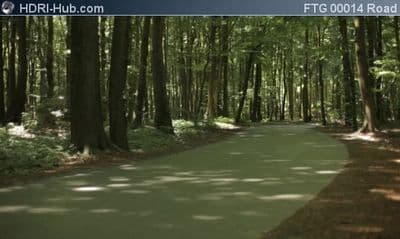 Road in Forest