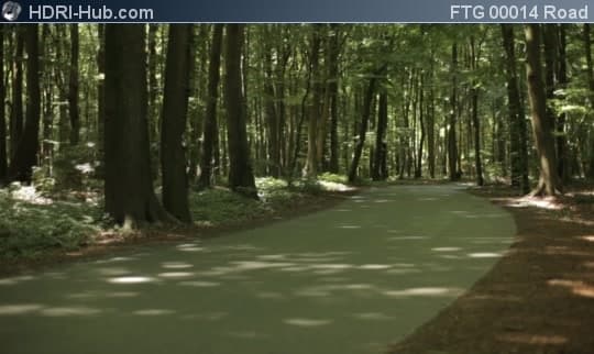 Road in Forest