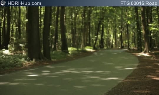 Road in Forest