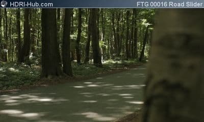 Road in Forest Slider Move