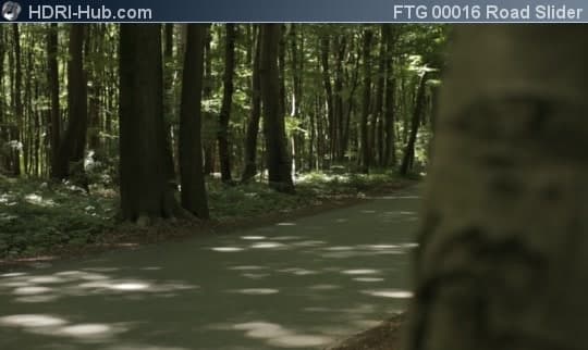 Road in Forest Slider Move