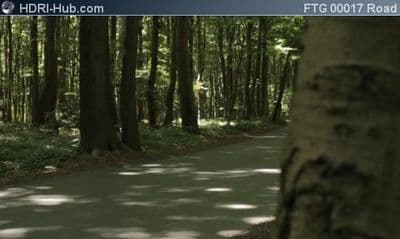 Road in Forest Slider Move