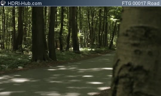 Road in Forest Slider Move