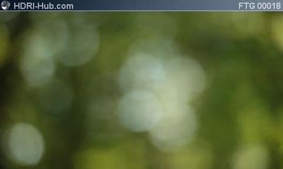 Driving through Forest Bokeh Background