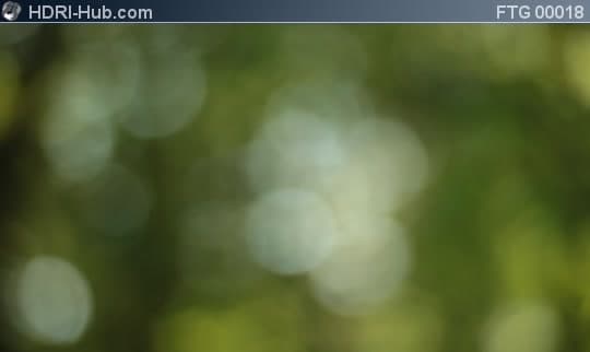 Driving through Forest Bokeh Background