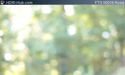 Driving through Forest Bokeh Background
