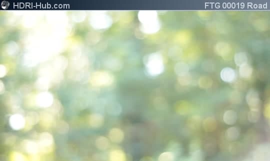 Driving through Forest Bokeh Background