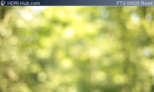 Driving through Forest Bokeh Background