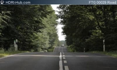 Center of Road in Forest