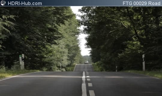 Center of Road in Forest