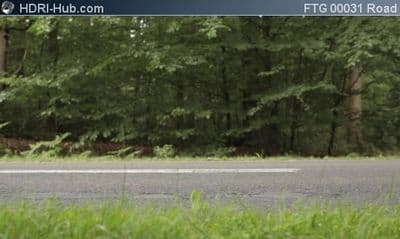 Sideview on Road in Forest