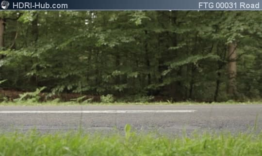 Sideview on Road in Forest