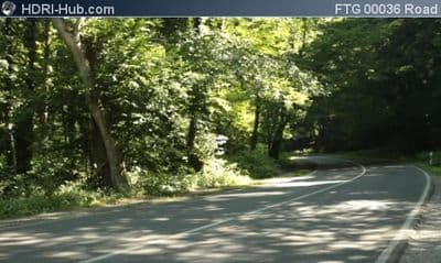 Road in Forest