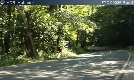 Road in Forest
