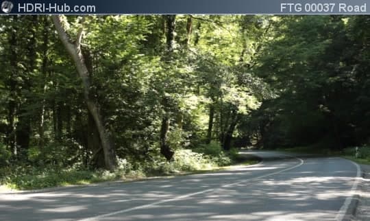 Road in Forest