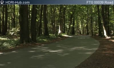 Road in Forest