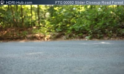 Slider Closeup on Road in Forest