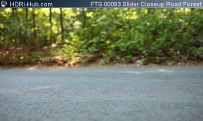 Slider Closeup on Road in Forest