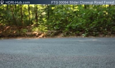 Slider Closeup on Road in Forest