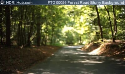 Forest Road Blurry Background