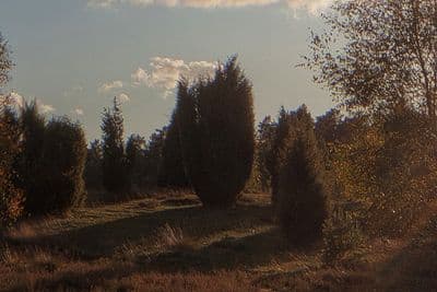 HDR 002 Meadow 2 - Gallery 5