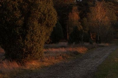 HDR 007 Meadow 7 - Gallery 5