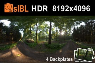 HDR 019 Forest 1 Plates - Gallery 1