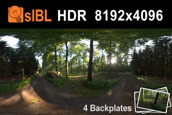 HDR 019 Forest 1 Plates - Gallery 1