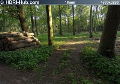 HDR 019 Forest 1 Plates - Gallery 5