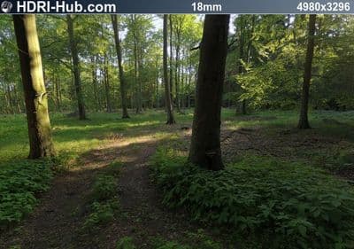 HDR 019 Forest 1 Plates - Gallery 6