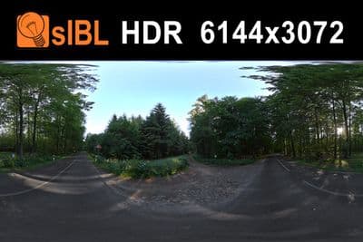 HDR 020 Forest 2 - Gallery 1